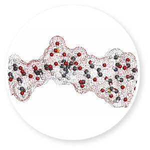 Chondroitin Sulfate